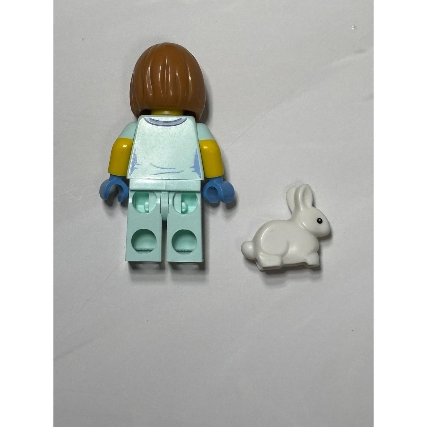 Lego COL290 Collectable Minifigure (Series 17) – Veterinarian – COL17-5 71018