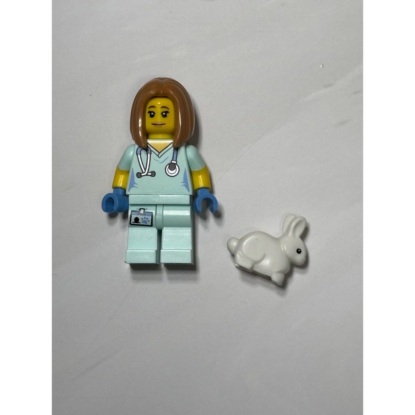 Lego COL290 Collectable Minifigure (Series 17) – Veterinarian – COL17-5 71018