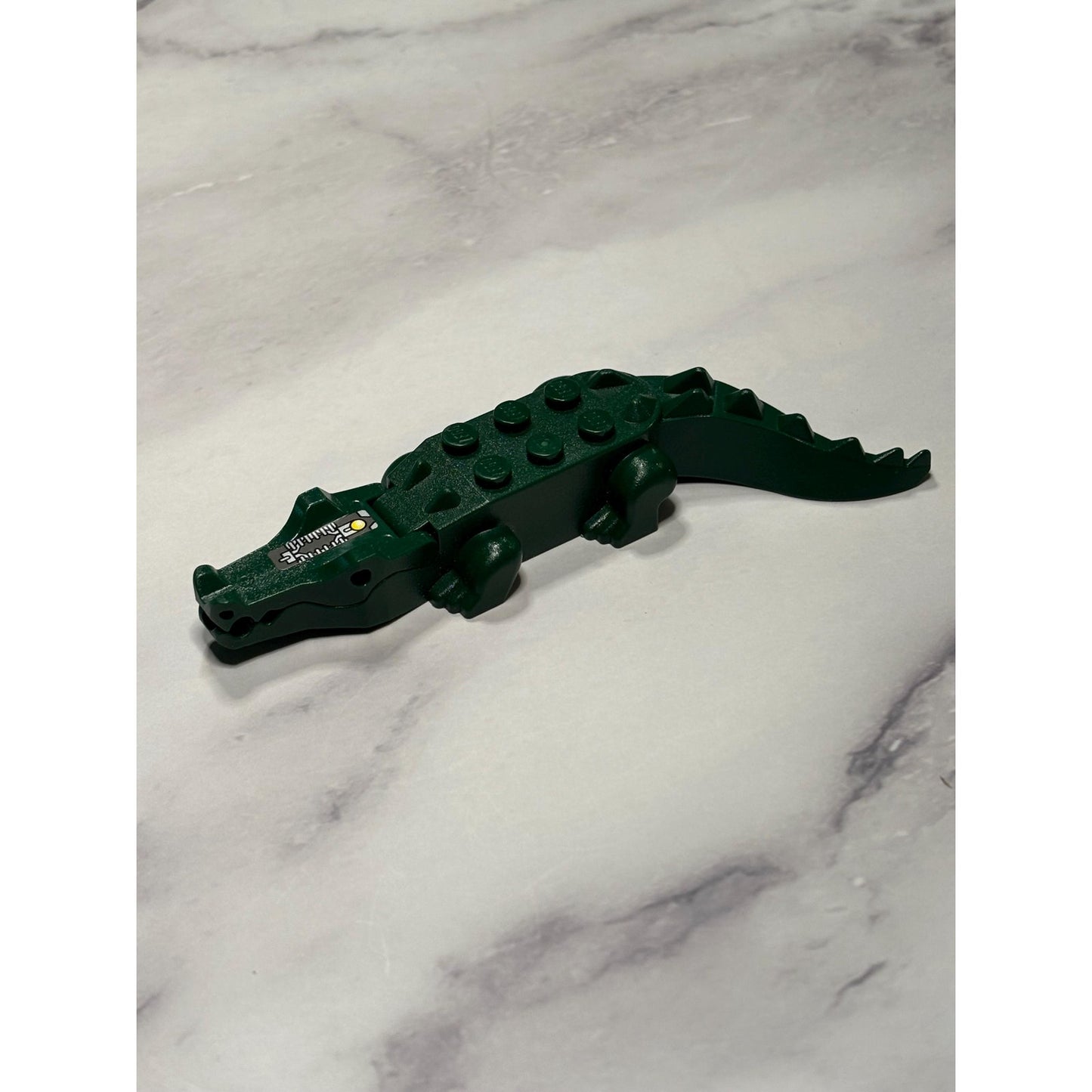 Dark Green Alligator Crocodile 8 Teeth 6026c01 8632 Agents Swamp